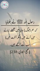 Daily hadees | rozana hadees | Sahih Bukhari 238 | Hadees | Quran aur hadees || Daily Blink #shorts
