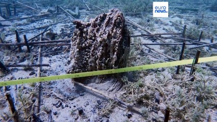 Descubren el pueblo lacustre más antiguo de Europa 🏞️