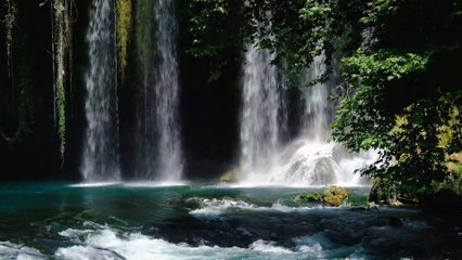 Effetto show con Davide Rombolotti a Milano