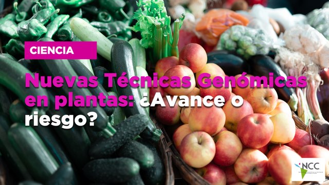 Nue­vas téc­ni­cas ge­nó­mi­cas en plan­tas: ¿Avan­ce o ries­go?