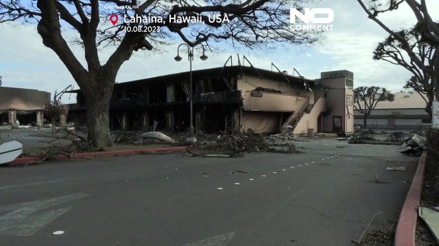 Incendies à Hawaï : scènes de désolation à Lahaina