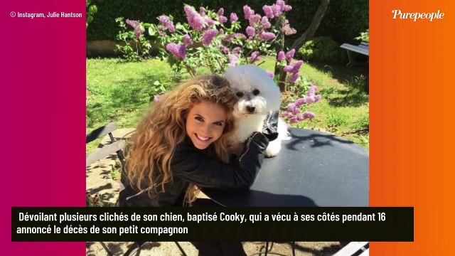 Julie Hantson : L'ex de Pascal Obispo effondrée à cause d'une triste nouvelle