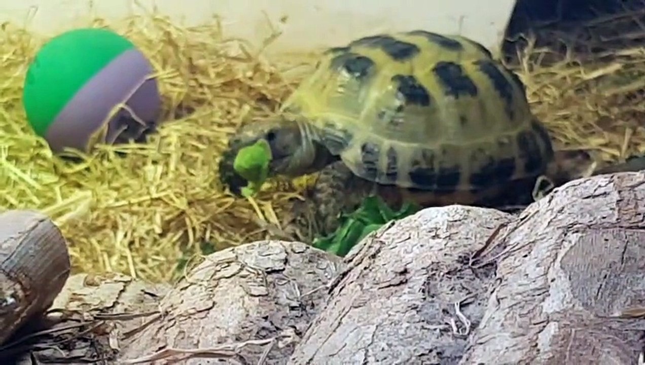 Eating isn't easy