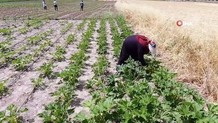 Okumanın Yaşı Olmaz Dediler, Geleceğin Mesleğine Adım Attılar