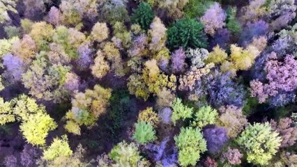 02. Ателье счастья (2023)