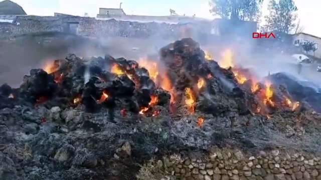 8 000 vignes d'herbe étaient en cendres dans le feu d'herbe à Van Saray
