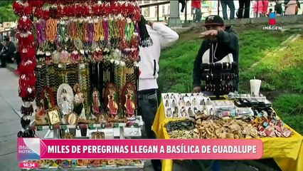 Peregrinas llegan a la Basílica de Guadalupe