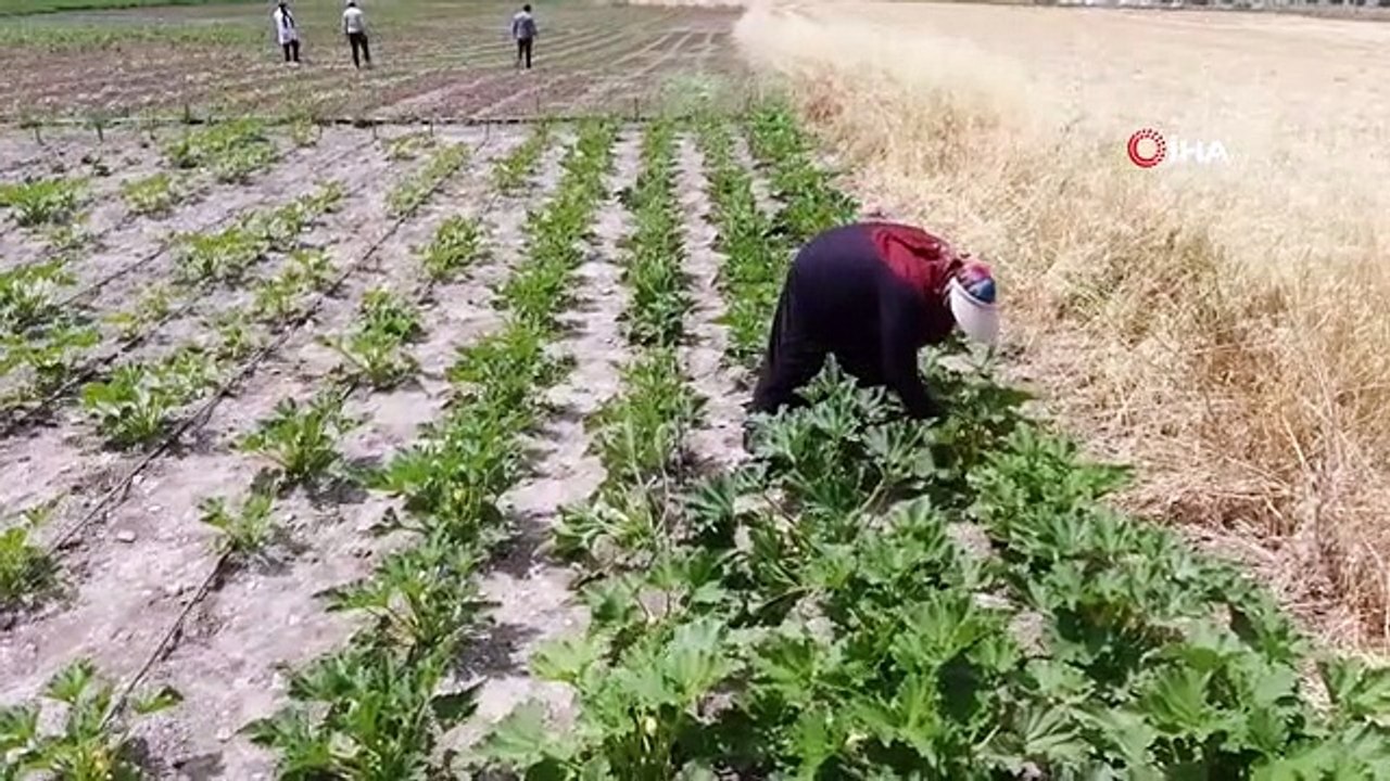 Ils ont dit que la lecture n'a pas d'âge, ils sont entrés dans la profession du futur