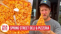 Barstool Pizza Review - Spring Street Deli & Pizzeria (Saratoga Springs, NY)
