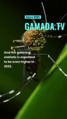 NEWS| Climate Change Expected to Increase Zika and Dengue Transmission