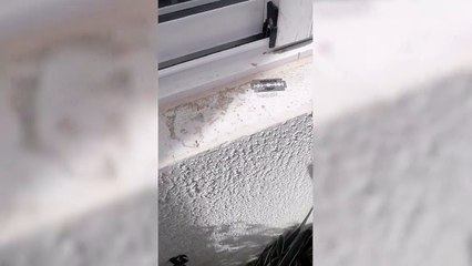 Delincuentes matan a hombre que fungía como seguridad privada para despojarlo de arma en Manoguayabo