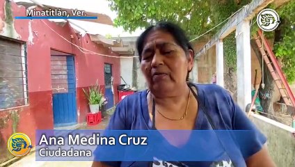 Un frondoso árbol de aguacate representa hoy un peligro para sus propietarios