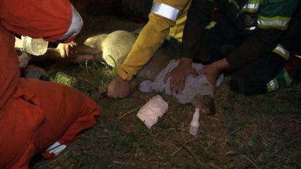 Rescatan a Urina de incendio en zona Viru Viru