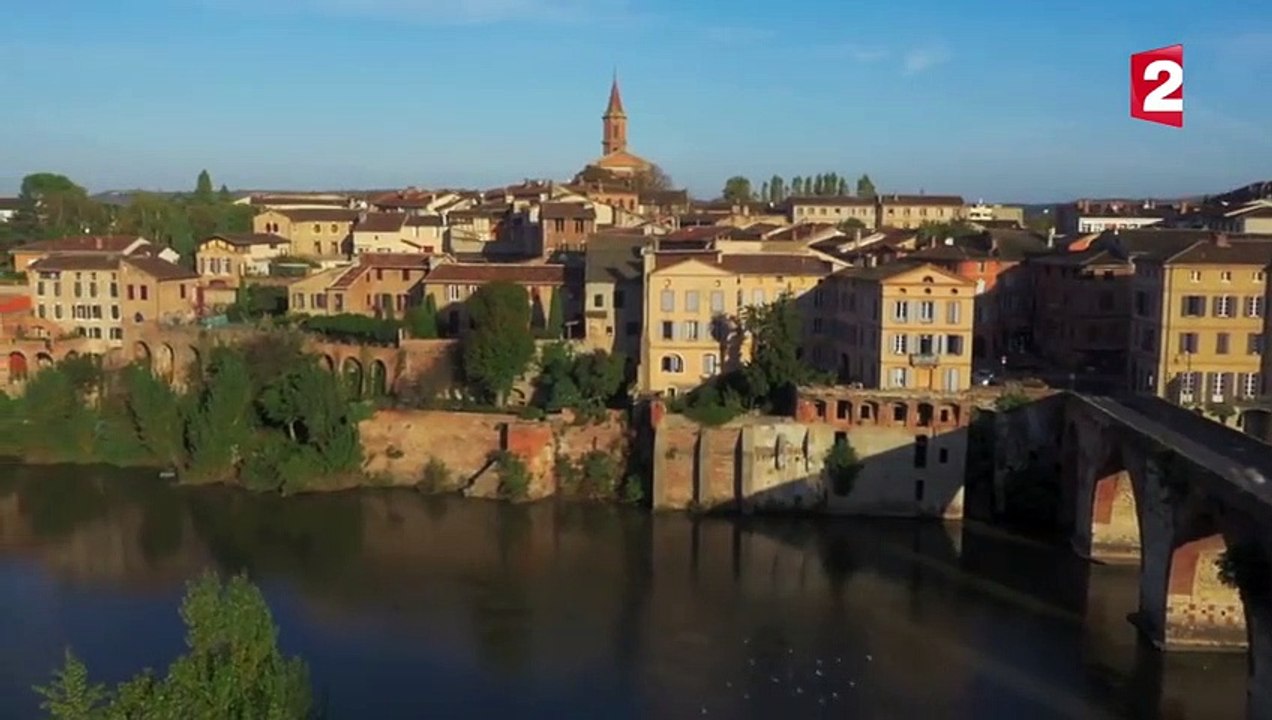 Cet énorme poisson mange des pigeons (silure) - ZAPPING SAUVAGE