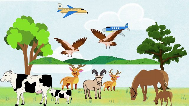 Video animasi - padang rumput - hewan