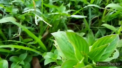 বাংলা চটি গল্প | বড়দের জন্য শুধুমাত্র 🎥