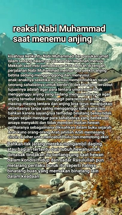 Reaksi Nabi Muhammad saat menemu anjing