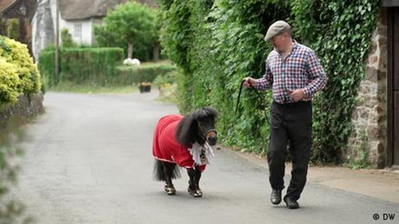 Ein Bürgermeister auf vier Beinen