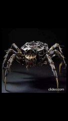 WE MUST EMBRACE OUR FLAWS