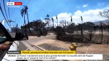 La justice a ouvert une enquête sur la gestion du terrible incendie qui a fait au moins 67 morts sur l'île de Maui - Certains locaux s'étonnent que les sirènes d'alarme n'aient pas retenti pour prévenir les habitants - VIDEO