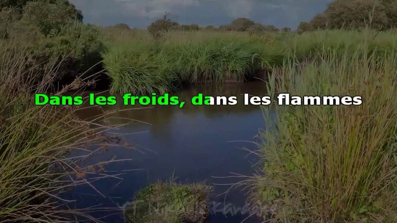 KARAOKE Céline Dion - Pour que tu m'aimes encore