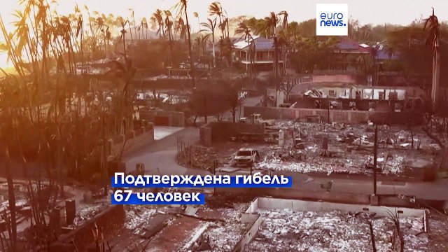 На сгоревшем острове Мауи ищут пропавших без вести