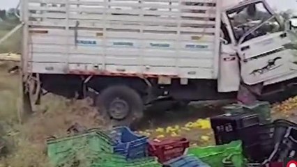 నెల్లూరు జిల్లా: ఘోర ప్రమాదం.. వ్యక్తి స్పాట్ డెడ్
