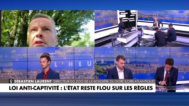 Sébastien Laurent : «Quand on parle de sanctuaires, c'est totalement faux. Personne n'est prêt à investir des millions pour ces quelques animaux»