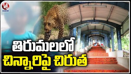 Alipiri Tragedy : Cheetah Strikes On Six Years Old Baby on Tirumala walkway | V6 News
