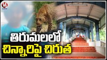 Alipiri Tragedy : Cheetah Strikes On Six Years Old Baby on Tirumala walkway | V6 News