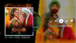 Gadar 2 All Songs  Sunny Deol  Amisha Patel  Gadar 2 movie   Hindi Jukebox   Udd ja kale kawa_1080p