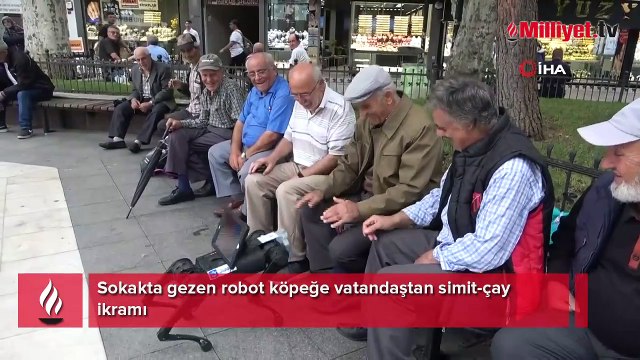 Robot köpeğe simit-çay ikram ettiler