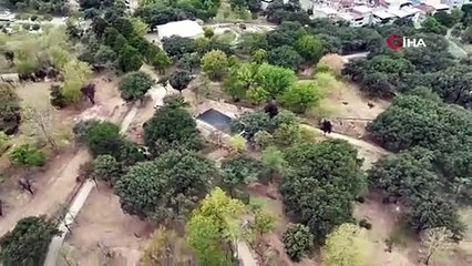 Teoman Özalp Parkı yenileniyor