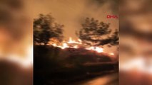 Bodrum'da Makilik Alanda Çıkan Yangın Söndürüldü
