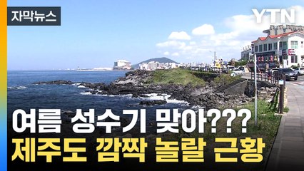 [자막뉴스] "지금 반 토막 났어요"...심상치 않은 제주도 / YTN