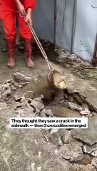 Duyanlar kulaklarına inanamıyor? Kaldırımın içindeki esrarengiz ses bakın ne çıktı