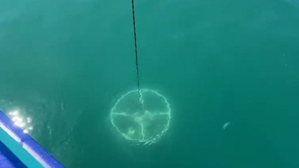 ‘Endişe verebilecek bir durum’ deyip uyardı! 53 yılın zirvesinde