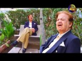 MAIN HOON QAZI WAJID - DOCUMENTARY