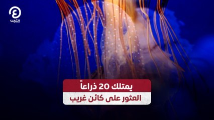 يمتلك 20 ذراعاً العثور على كائن غريب