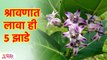श्रावणात लावा ही ५ झाडे | Plant these 5 trees in Shravana | Shravan Maas Vastu Tips in Marathi | KA3