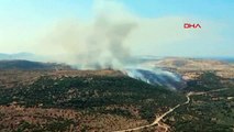 İzmir Aliağa'da Otluk ve Makilik Alanda Yangın Çıktı
