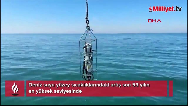 Balıkçılık tehlikede! Deniz suyu yüzey sıcaklıklarında korkutan artış