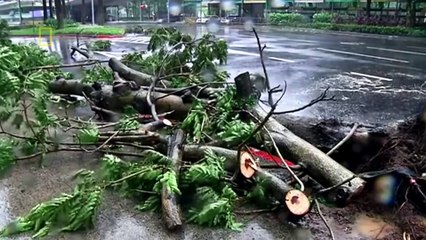 Air Crash Investigation S18E02 Blown Away