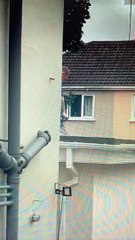 Operaio furioso fa a pezzi il tetto con la motosega