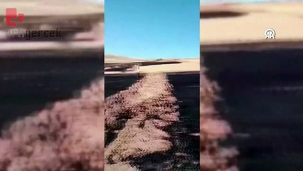 Sivas'ta ekili arazilerde çıkan yangında 2 bin 250 dönüm alan zarar gördü