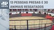 Polícia do Rio de Janeiro fecha rinha de galos em Duque de Caxias