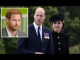 I nuovi ruoli del principe William e Kate mostrano una 