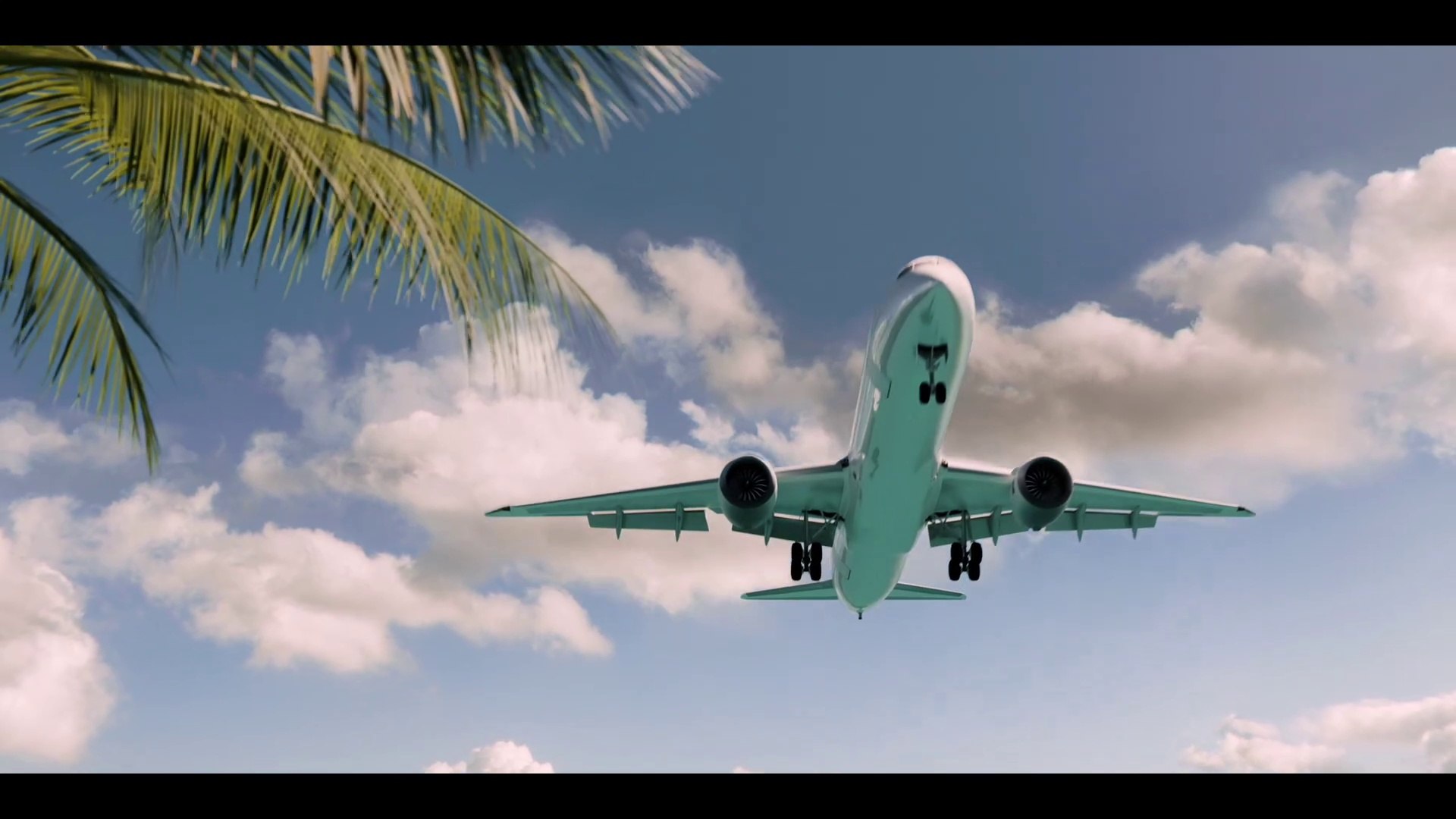 Comedy,Action,Adventure Vacation Friends 2 Trailer