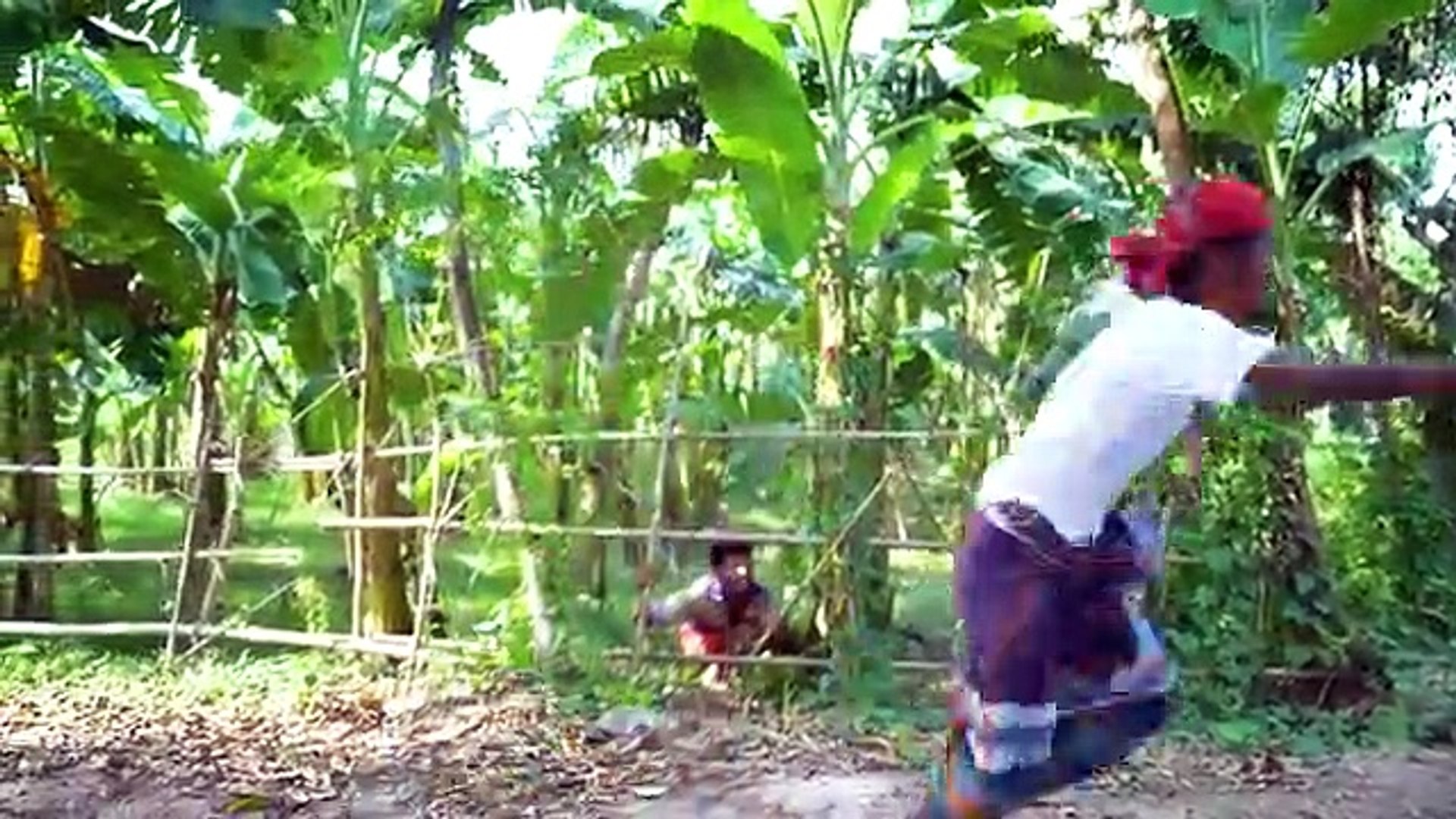 Comedy entertainment video