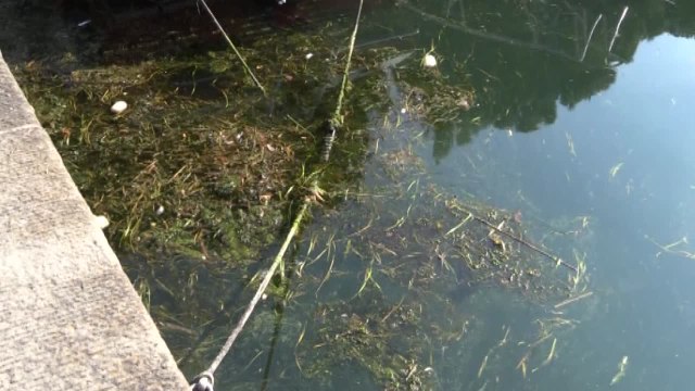 Goletta verde, inquinato un terzo delle coste italiane